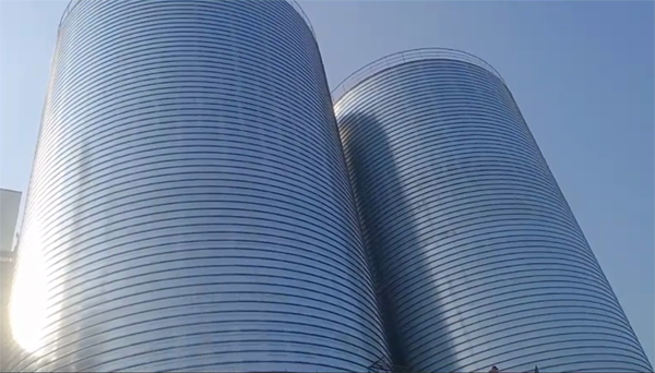 昌邑2座混凝土高架卷板仓